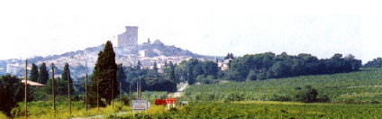 Blick auf Châteauneuf-du-Pape
